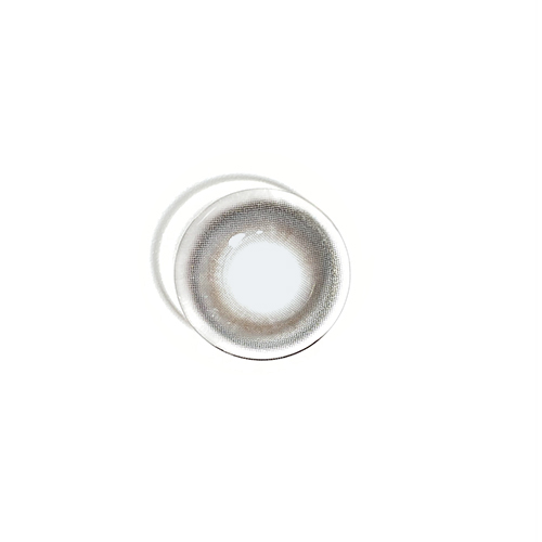 [1DAY] EESLE - BLUR GRAY