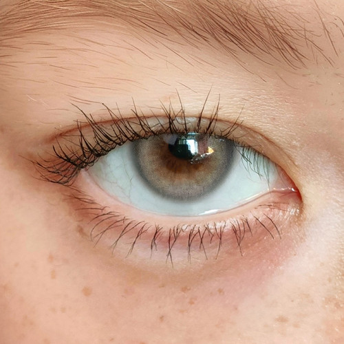 [1DAY] BADCAT - EGYPTIAN GRAY